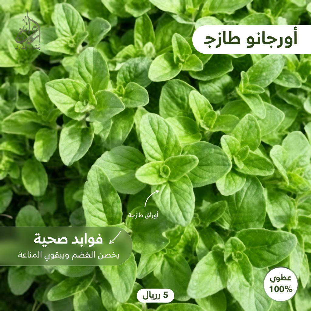 تشعر بالتعب المستمر بعد سن الخمسين؟ 10 أطعمة قد تدعم حماية الخلايا وفقًا لطبيب أورام