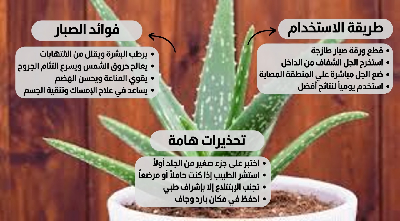 6 أعشاب طبيعية قد تدعم صحتك مثل الأدوية الشائعة