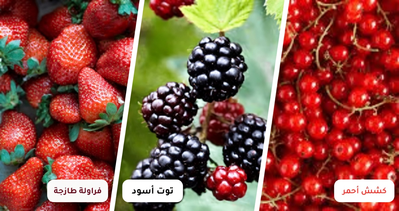 14 من أفضل الأطعمة لتعزيز الدورة الدموية في الساقين والقدمين (لكي تشعر «الساقان الثقيلتان» أخيرًا بالخفة من جديد)