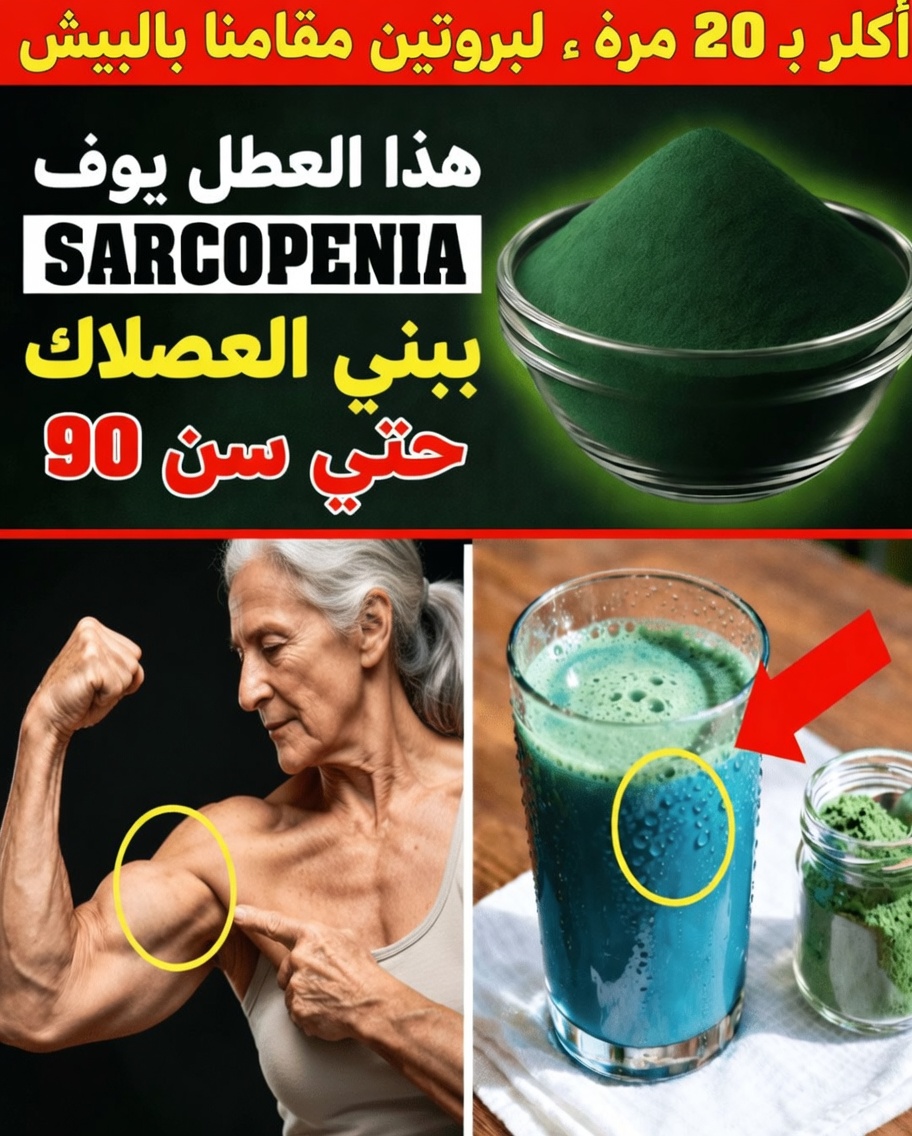 كبار السن: ابنِ العضلات بعد سن السبعين بهذه البروتينات النباتية الأربعة (وحيلة التوقيت البسيطة التي تجعلها فعّالة)