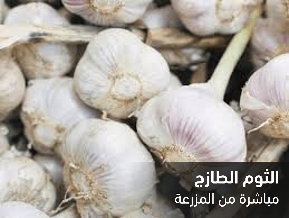 وداعًا للشرايين المسدودة: اكتشف أطعمة فعّالة تدعم صحة القلب بشكل طبيعي