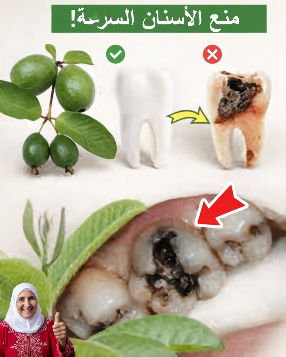 أفضل 3 طرق طبيعية لدعم صحة الأسنان باستخدام أوراق الجوافة – بسيطة وفعّالة من حيث التكلفة!