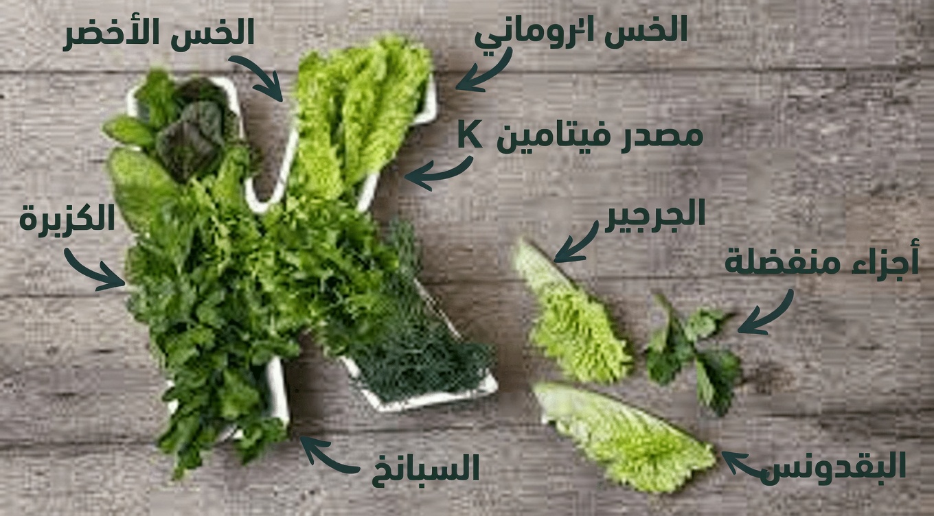 بحث جديد يوضح كيف يمكن لمركّبٍ طليعيٍّ لفيتامين ك أن يساعد في مكافحة الخلايا السرطانية – خيار علاجي واعد!