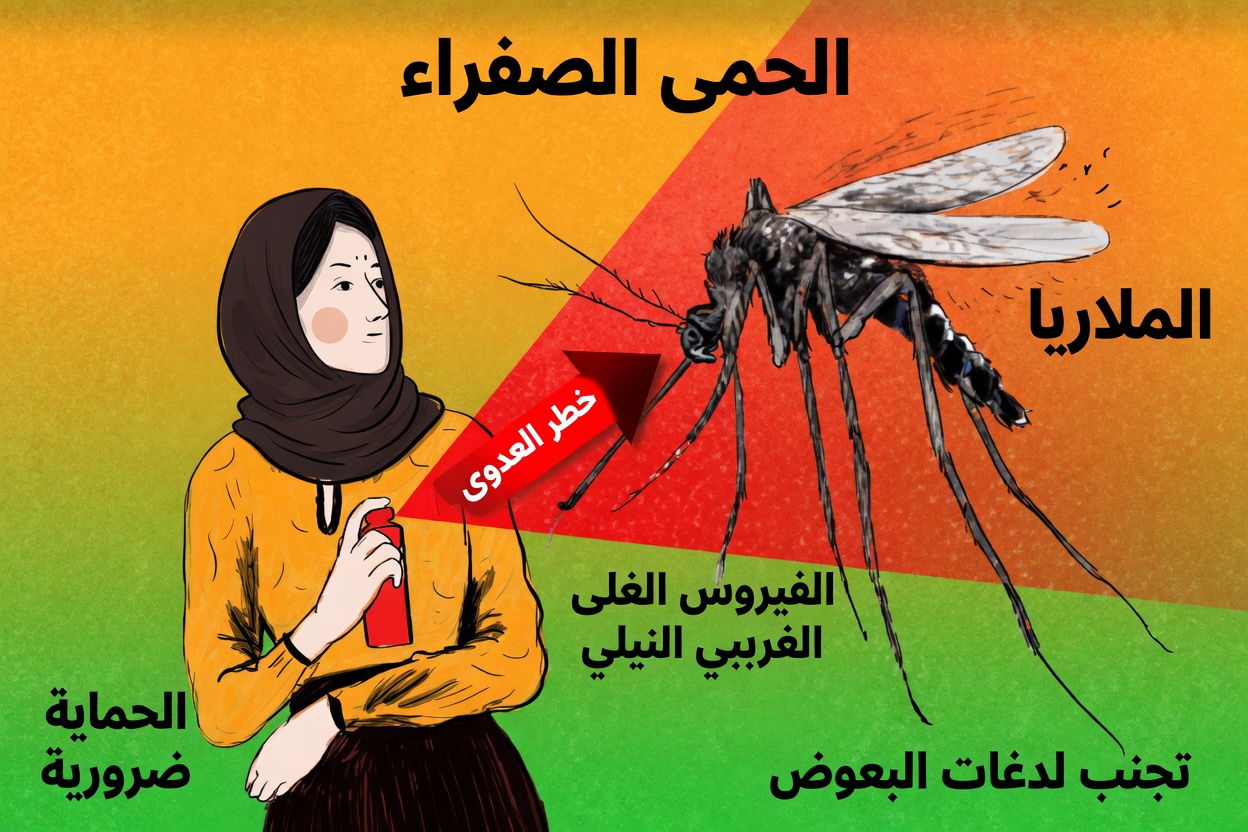 لماذا يلدغك البعوض دائمًا أولًا؟ اكتشف ما الذي يجذبهم وكيف تحمي نفسك!