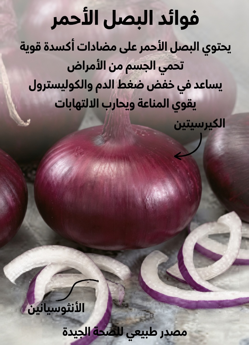 الحقيقة التي لم تُروَ: البصل الأحمر يساعد على تنظيم سكر الدم – سر بسيط لمن هم فوق الأربعين!