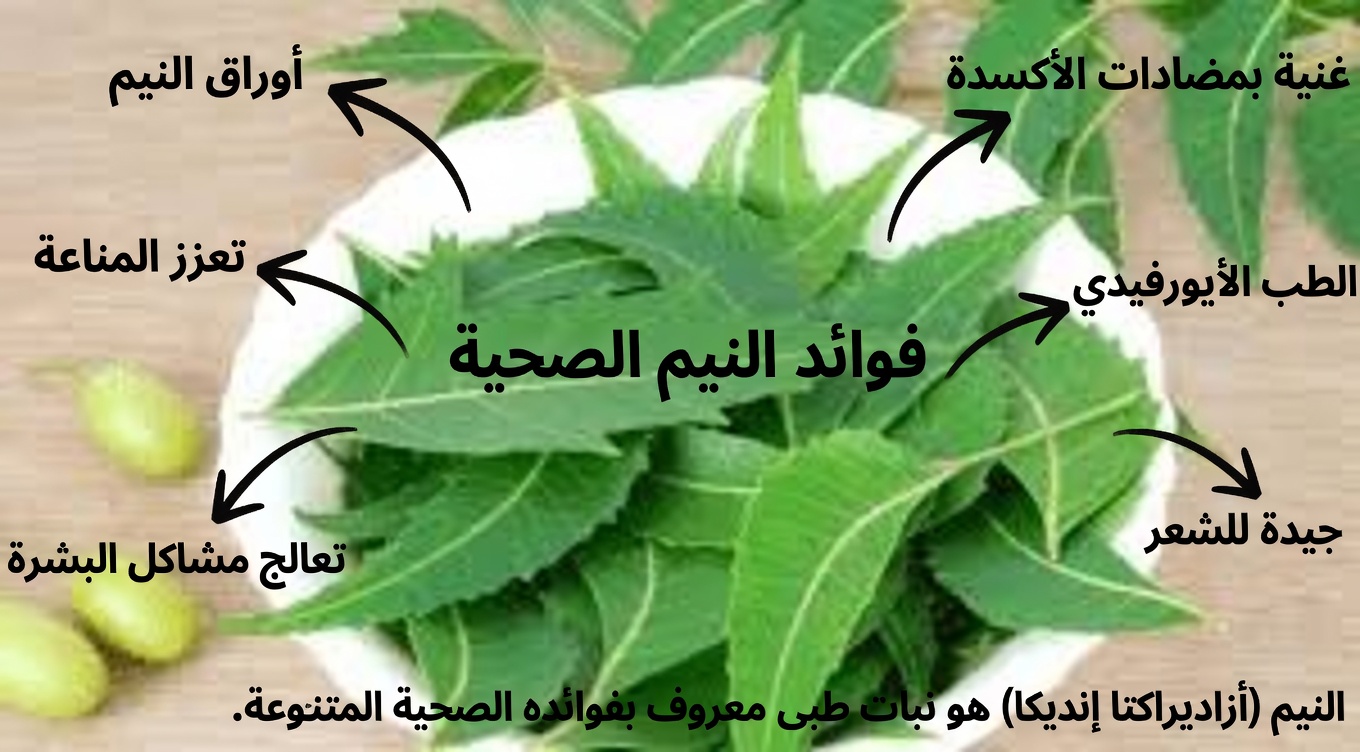 تناول ورقة نيم واحدة يوميًا، وشاهد ما سيحدث!