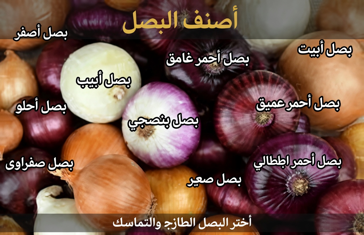 هل يمكن لعصير البصل أن يدعم صحة العينين بلطف؟ نصيحة طبيعية تستحق الاستكشاف