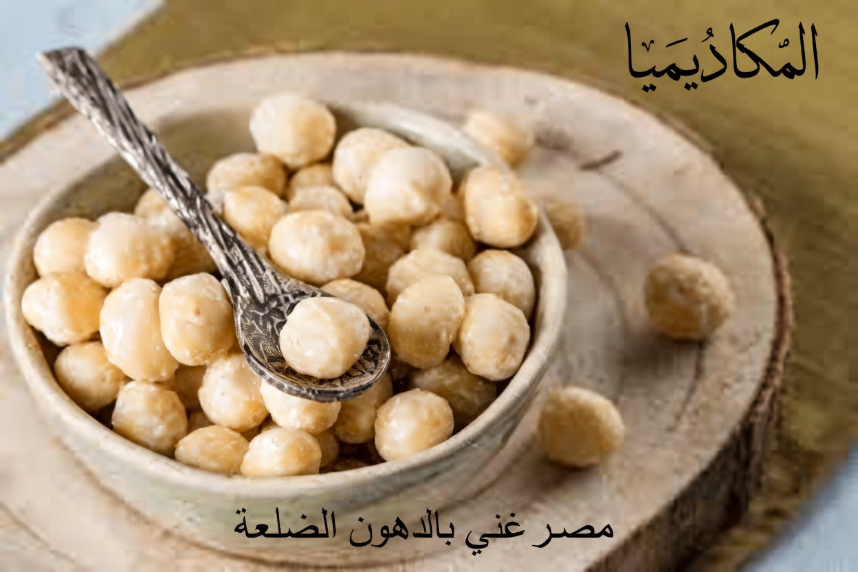 6 بذور قوية قد تساعد جسمك على مقاومة السرطان طبيعيًا – خاصة بعد سن الخمسين