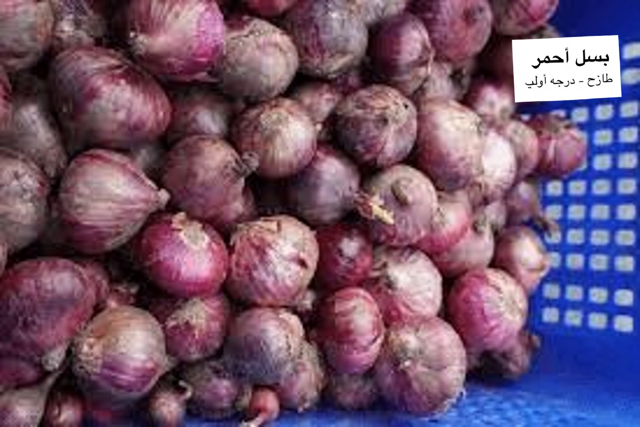 وصفة البصل التي تقضي على السكري وتنظّف شرايينك وتنقذ قلبك!