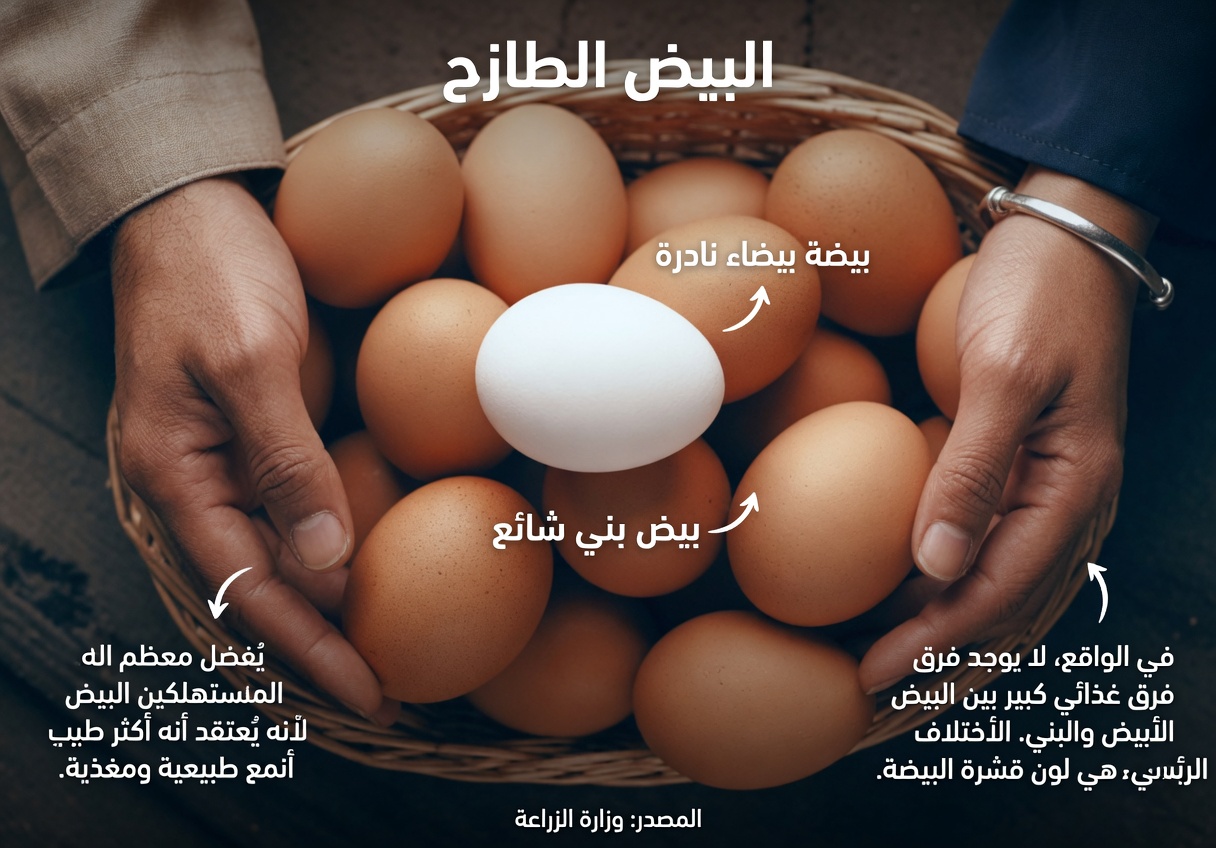 وداعًا لفقدان العضلات: 7 أطعمة أساسية تهزم الساركوبينيا!