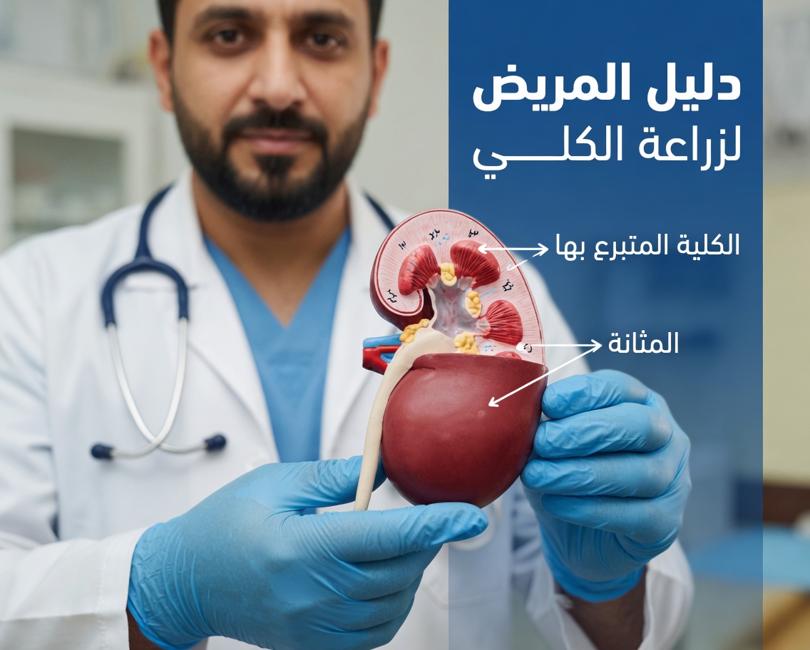 12 عرضًا صامتًا لارتفاع مستويات الكرياتينين قد تُنذرك بمشاكل في الكلى – معظم الناس يتجاهلونها حتى فوات الأوان