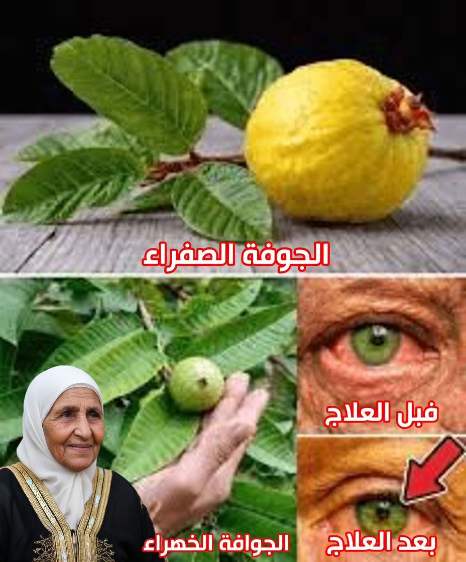 كيفية استخدام الجوافة لعلاج مشاكل العين — علاجات طبيعية للعينين