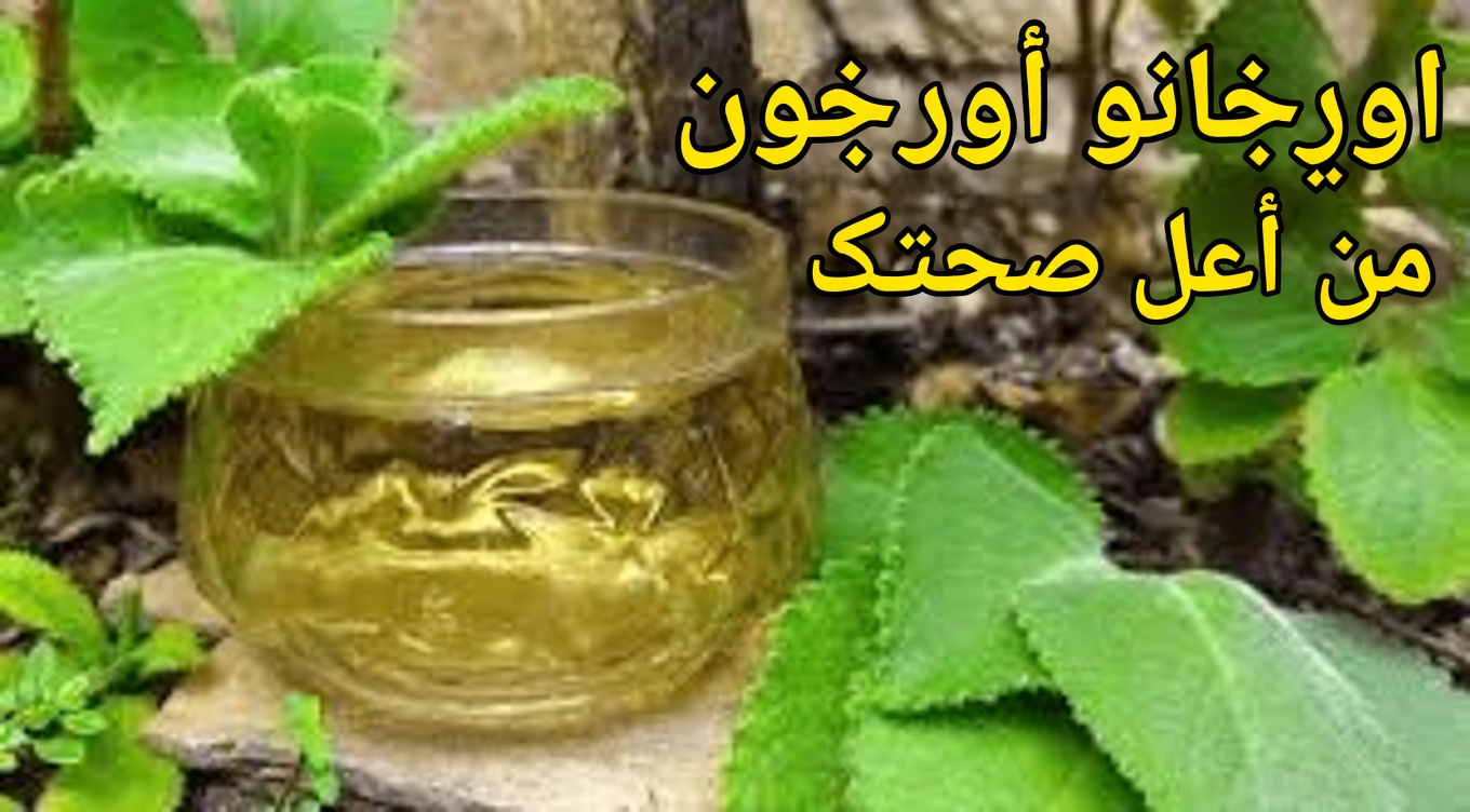 كيف يدعم الأوريجانو أوريخون صحة العين طبيعيًا: نصائح لإدراج هذه العشبة في روتينك للعناية بصحة البصر