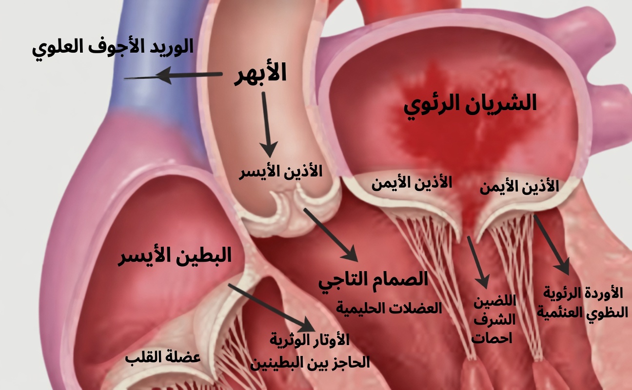 10 علامات مفاجئة لفتقٍ حجابي قد تكون تتجاهلها – ولماذا قد يغيّر التعرّف عليها مبكرًا حياتك