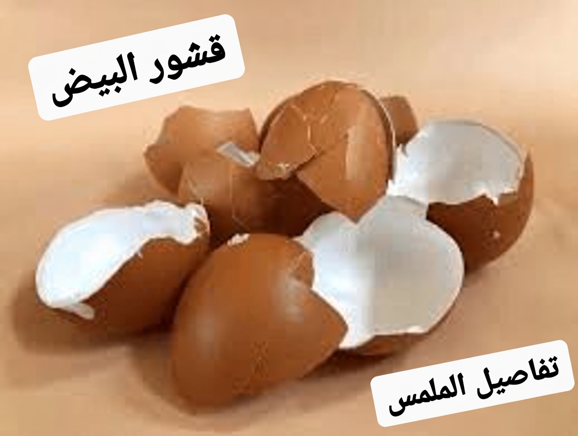 عندما تفقد ركبتك الكولاجين، تصبح قشور البيض منقذًا للحياة. الوصفة في أول تعليق.