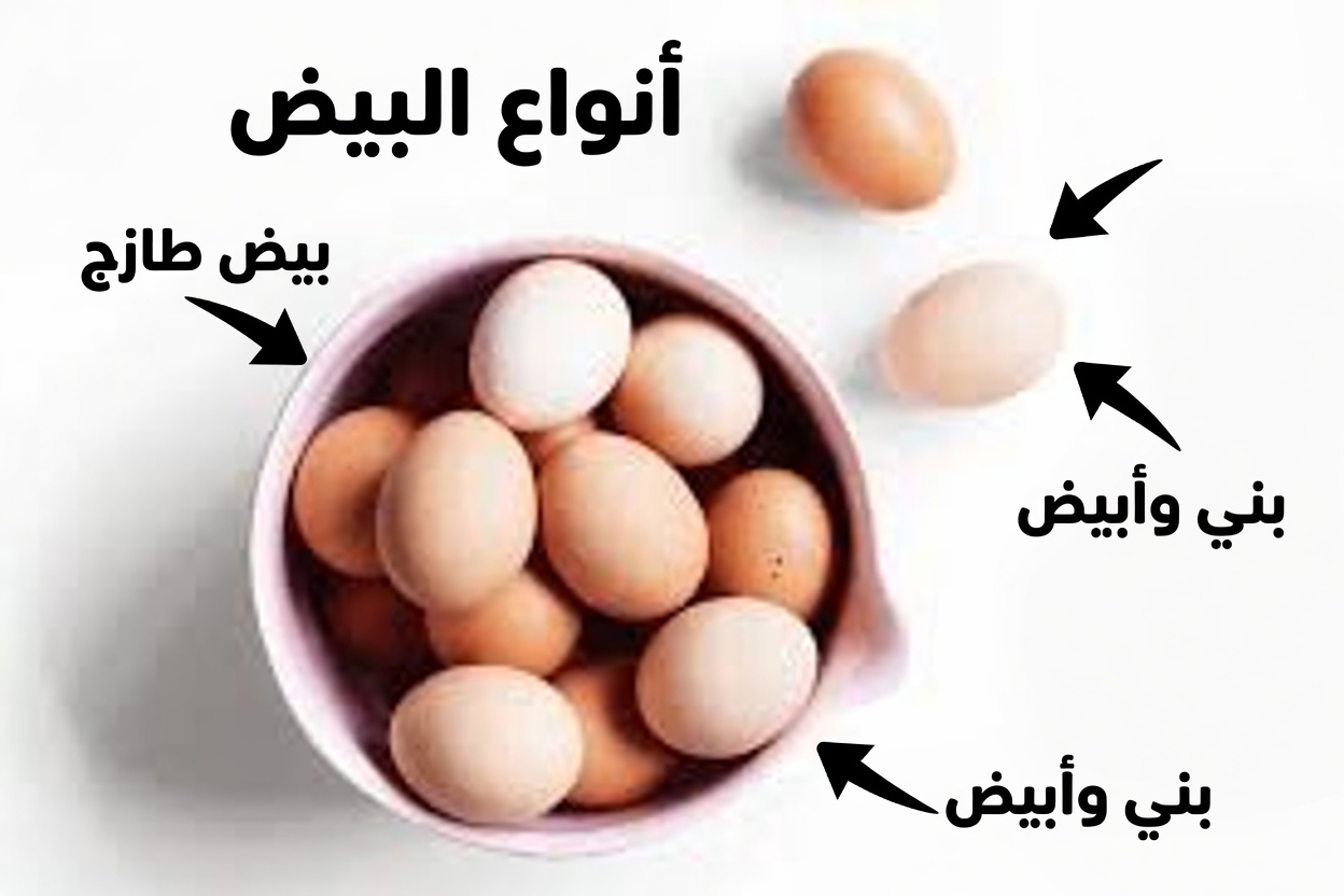 استعد للصدمة مما يحدث داخل جسمك إذا تناولت البيض يوميًا
