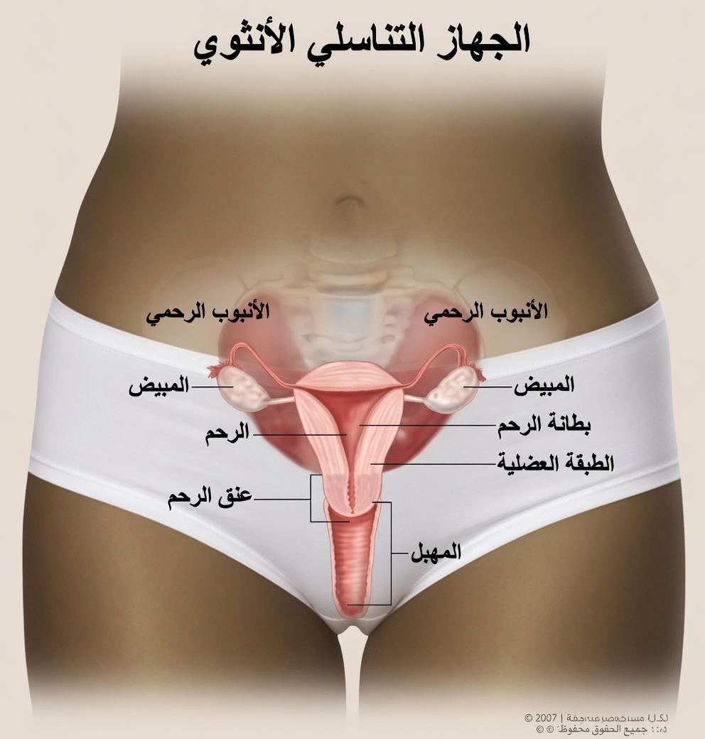 9 علامات تحذيرية مبكرة لسرطان عنق الرحم تفوتها معظم النساء (ولماذا يهم الإصغاء إلى جسدك)