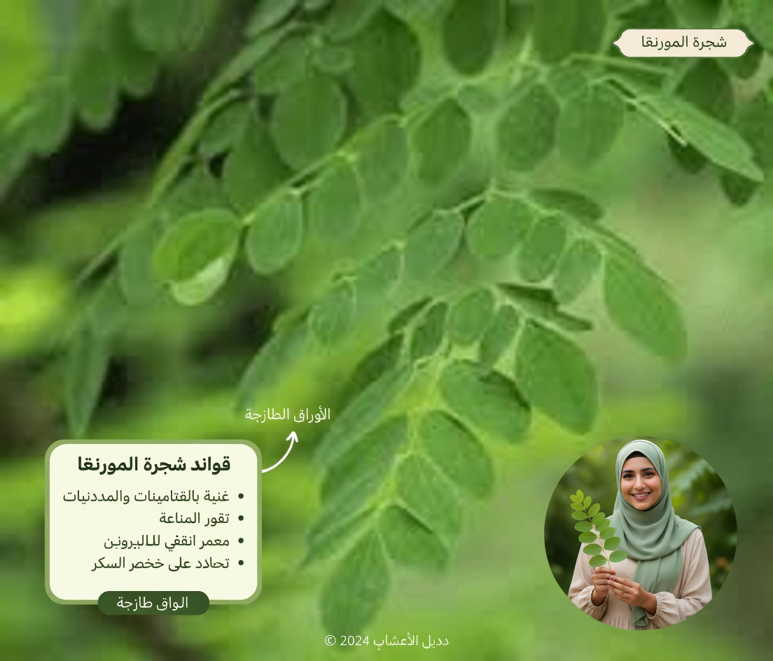 انكشفت: الورقة الخفية التي قد تغيّر المعركة ضد السرطان