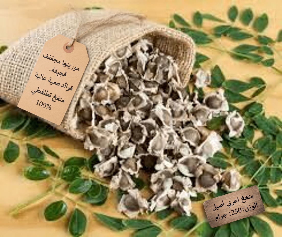 12 فائدة لبذور المورينغا لن تسمع بها من طبيبك أبدًا (لكن يجب أن تعرفها)