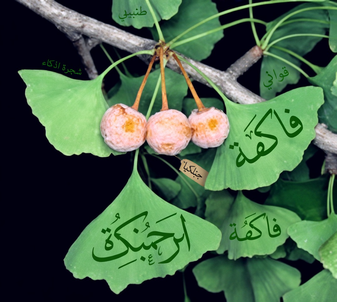 6 أعشاب خفية تذيب بهدوء جلطات الدم الخطيرة في ساقيك