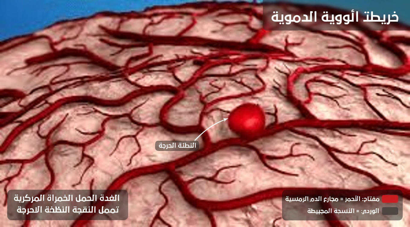علامات وأعراض تمدد الأوعية الدموية التي لا ينبغي تجاهلها: ما تحتاج إلى معرفته لصحتك