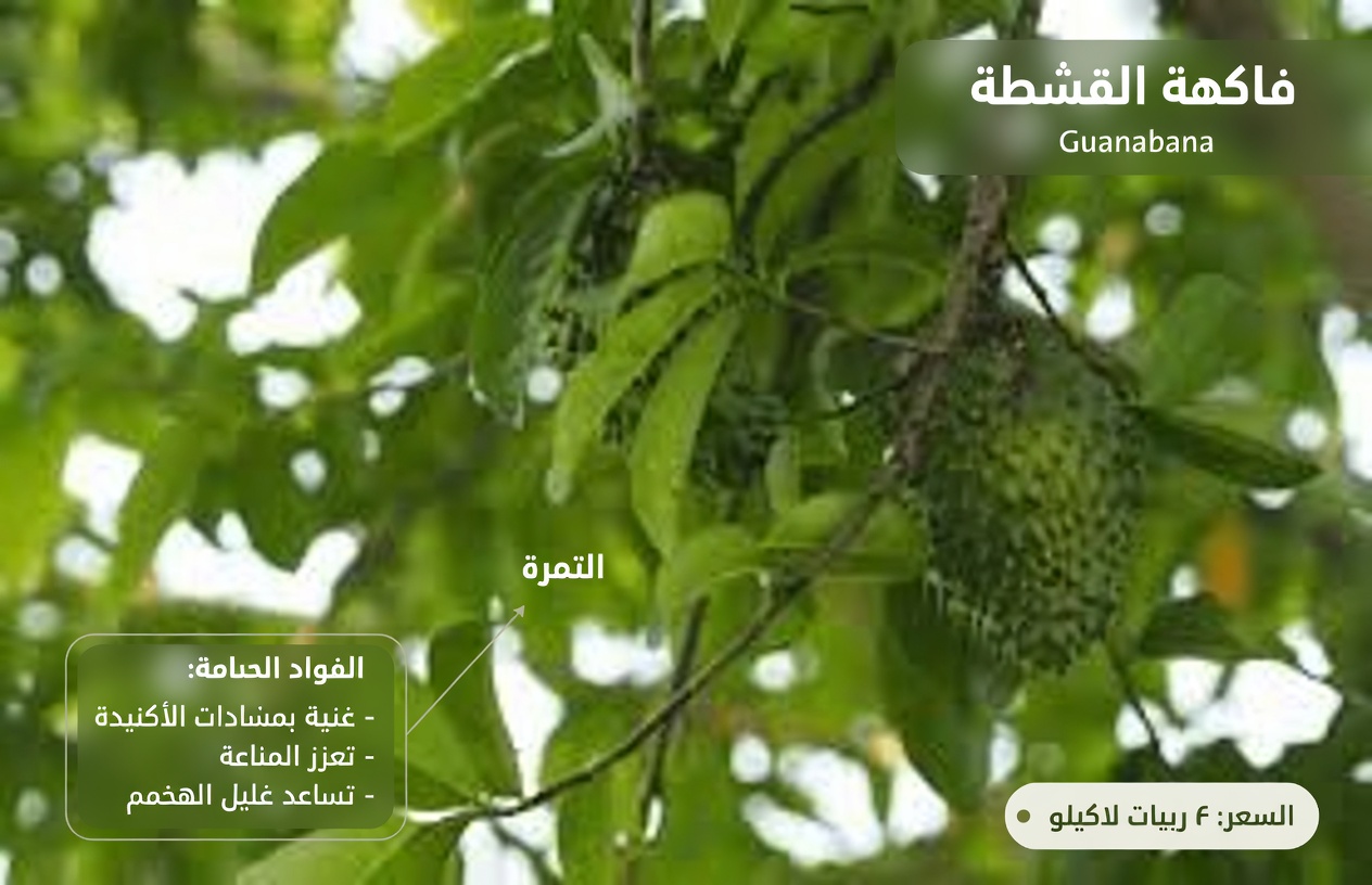 الأطباء لن يخبرك عن هذه الورقة التي تُدَمِّر السرطان (لا تفوّت)