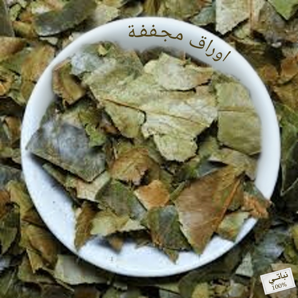 الأطباء لن يخبرك عن هذه الورقة التي تُدَمِّر السرطان (لا تفوّت)