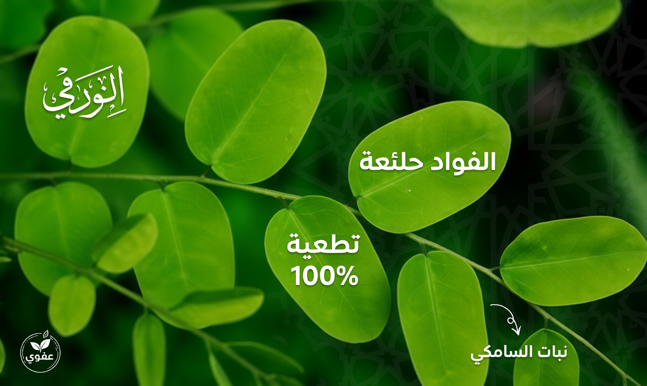 معجزة! ورقة واحدة تدمر السكري والكوليسترول السيئ ودهون البطن! | صحة كبار السن