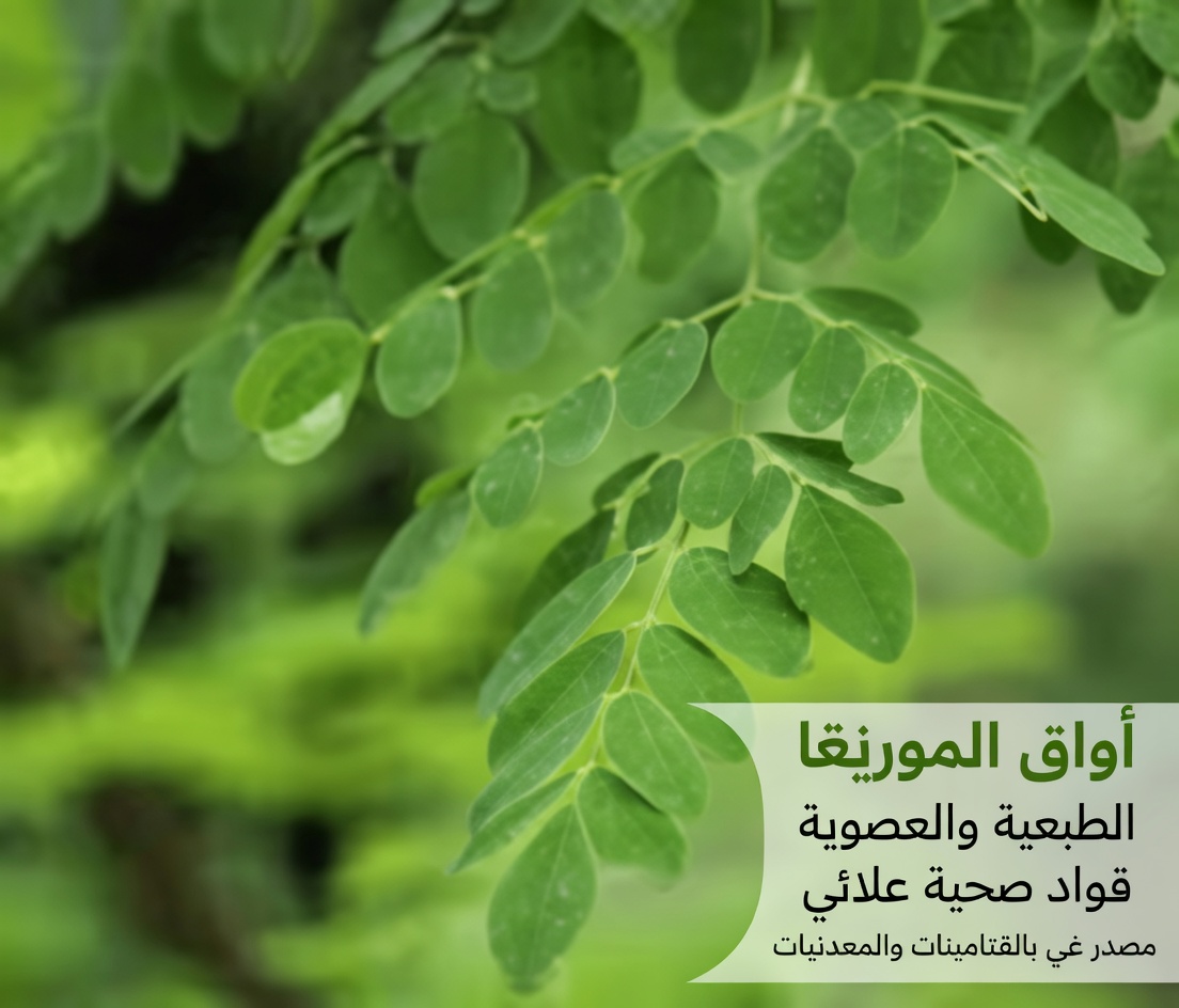 معجزة! ورقة واحدة تدمر السكري والكوليسترول السيئ ودهون البطن! | صحة كبار السن