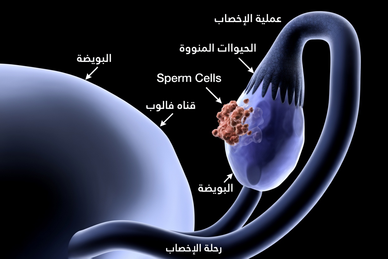 8 علامات صامتة لسرطان المبيض يجب على كل امرأة معرفتها (ولماذا الوعي المبكر ينقذ الأرواح)