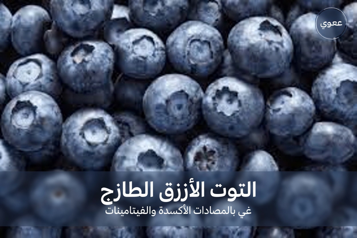 كبار السن: لا تتناولوا التوت الأزرق مع هذه الأطعمة الثلاثة الشائعة (واستفيدوا بدلًا من ذلك من كامل فوائده للشيخوخة الصحية)