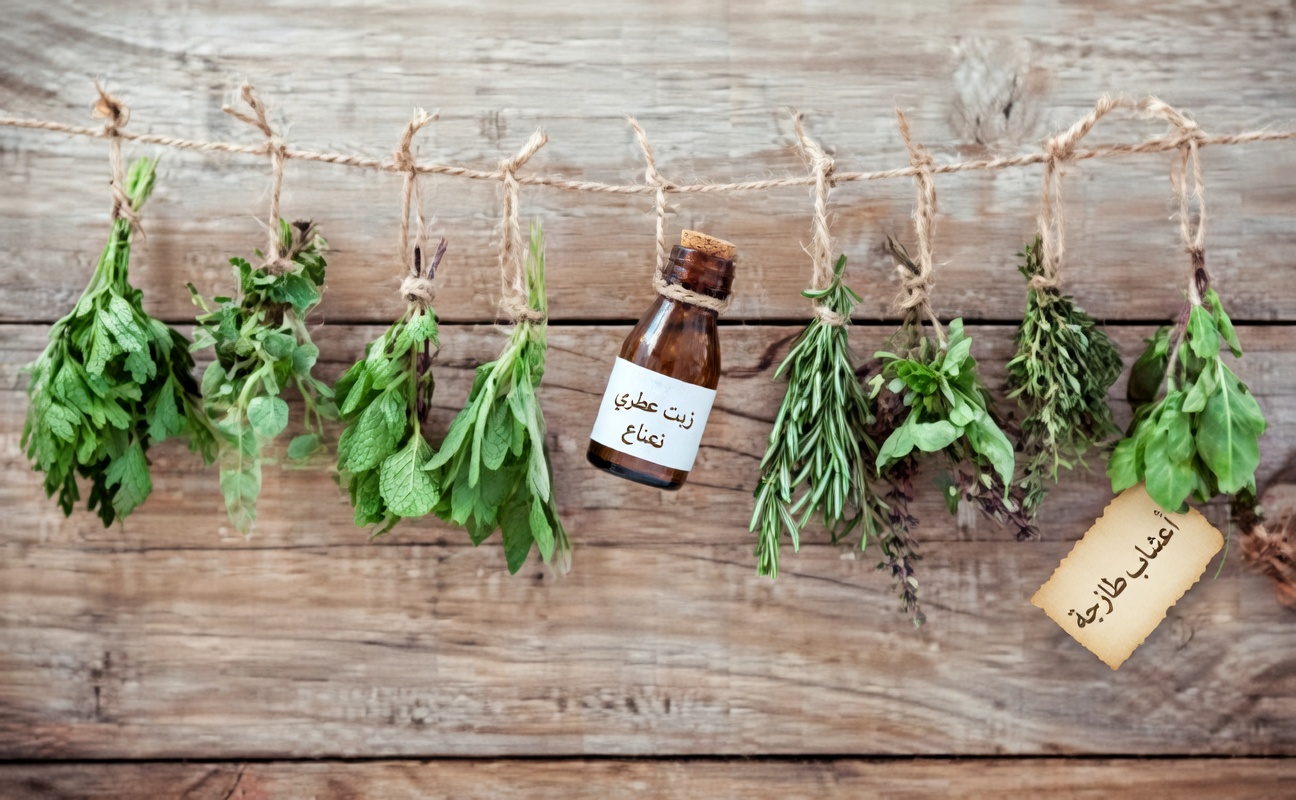 المشروب العشبي السحري لمرض السكري والدورة الدموية والكبد الدهني وآلام العظام