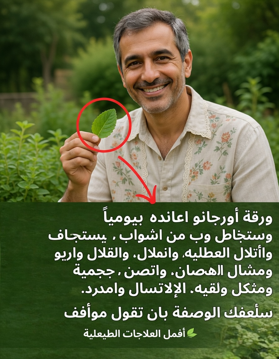 ورقة واحدة في اليوم: القوة الخفية للأوريجانو أوريخون