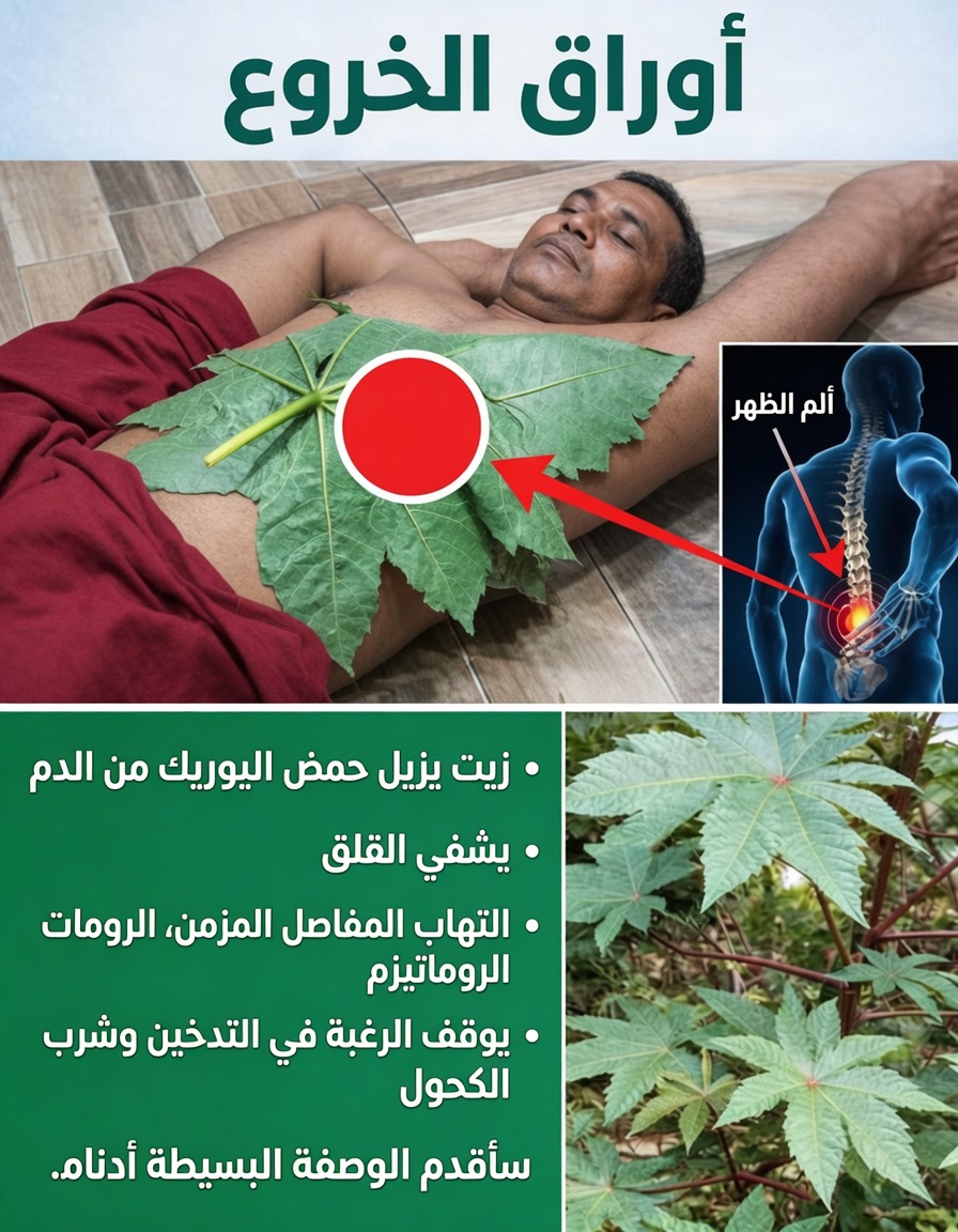 زيت الخروع (Aceite de Higuereta / Minyak Jarak): الفوائد الصحية وكيفية استخدامه للشعر