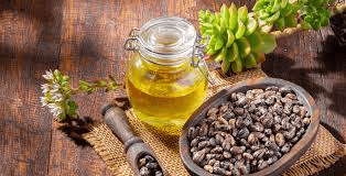 زيت الخروع (Aceite de Higuereta / Minyak Jarak): الفوائد الصحية وكيفية استخدامه للشعر
