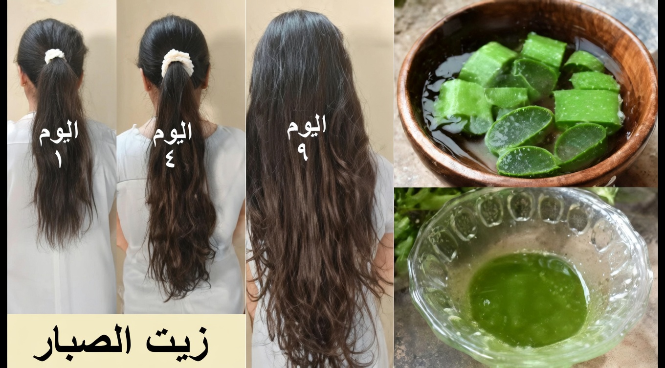 كيفية صنع زيت الصبار لتسريع نمو الشعر وتقليل تساقطه