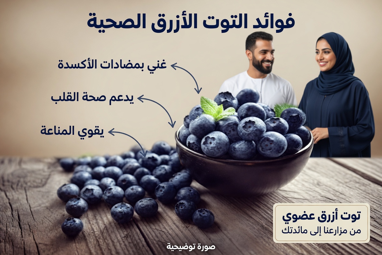 الفواكه القوية التي قد تدعم صحة البروستاتا – الميزة الطبيعية التي يغفل عنها معظم الرجال