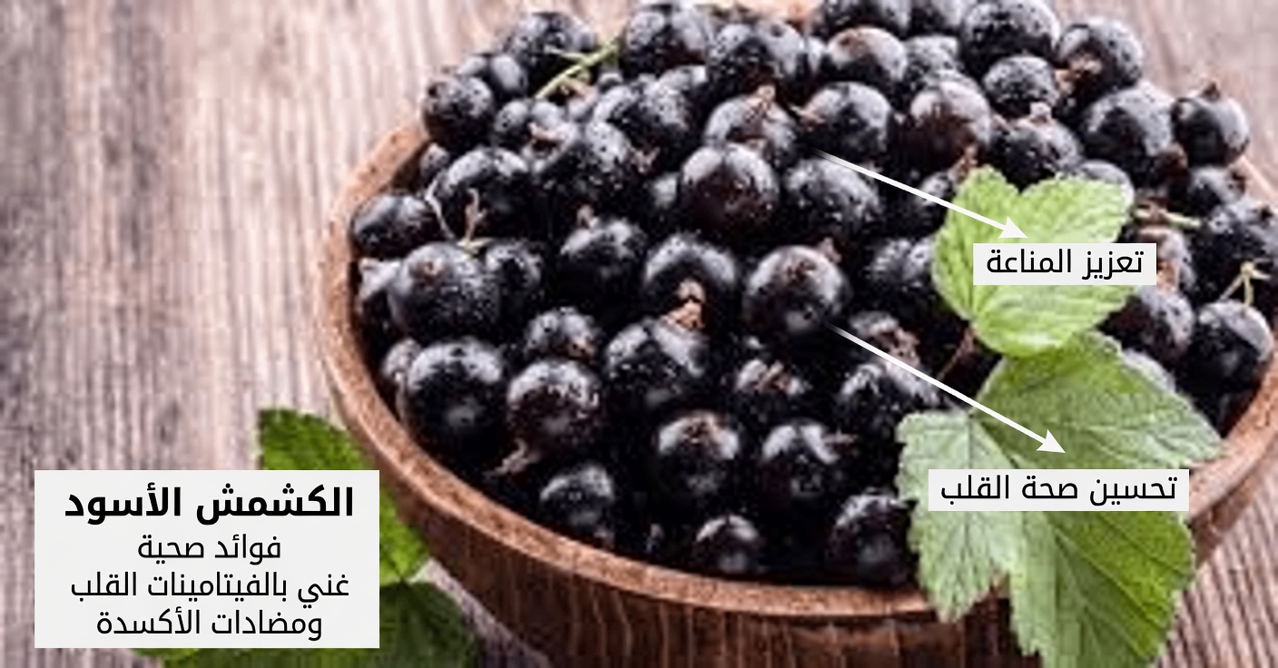 الفاكهة رقم 1 التي ينبغي لكبار السن تناولها قبل النوم لعيون أكثر حدة وصحة – ولماذا يخطئ معظم الناس تمامًا