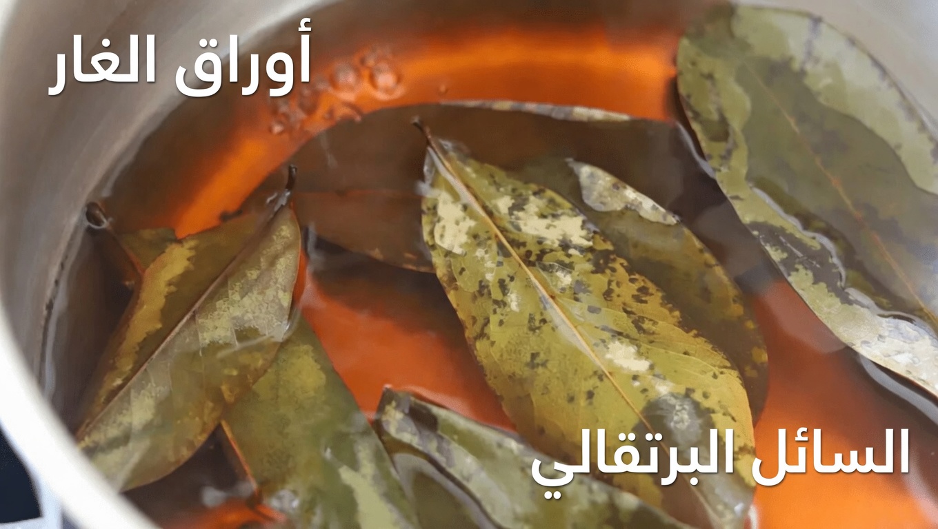 الورقة التي يتحدث عنها الجميع: استكشاف أوراق القشطة الشائكة ودورها المحتمل في العافية