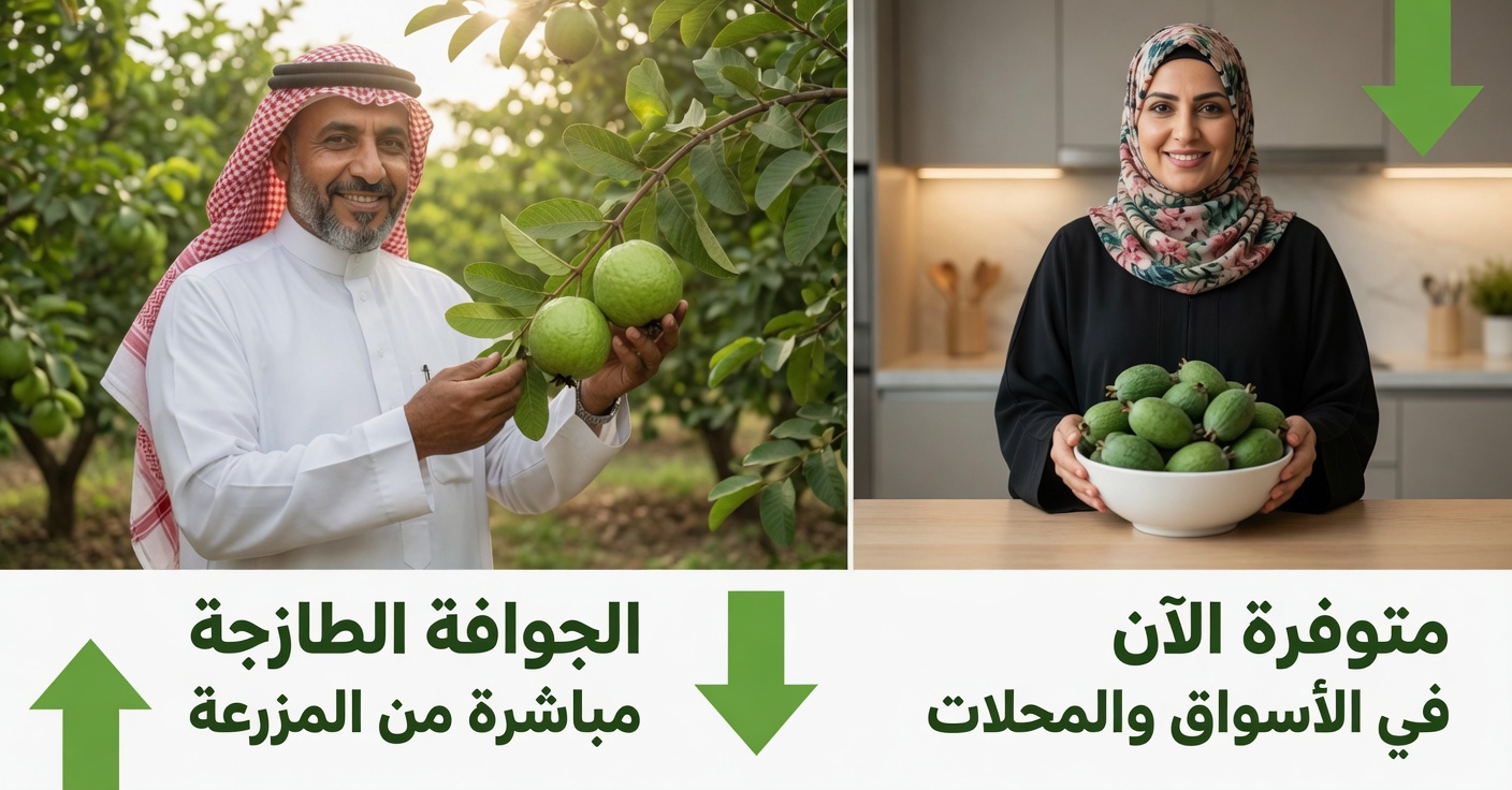 كيفية استخدام الجوافة لعلاج مشكلات العين — علاجات طبيعية للعينين بعد سن الأربعين