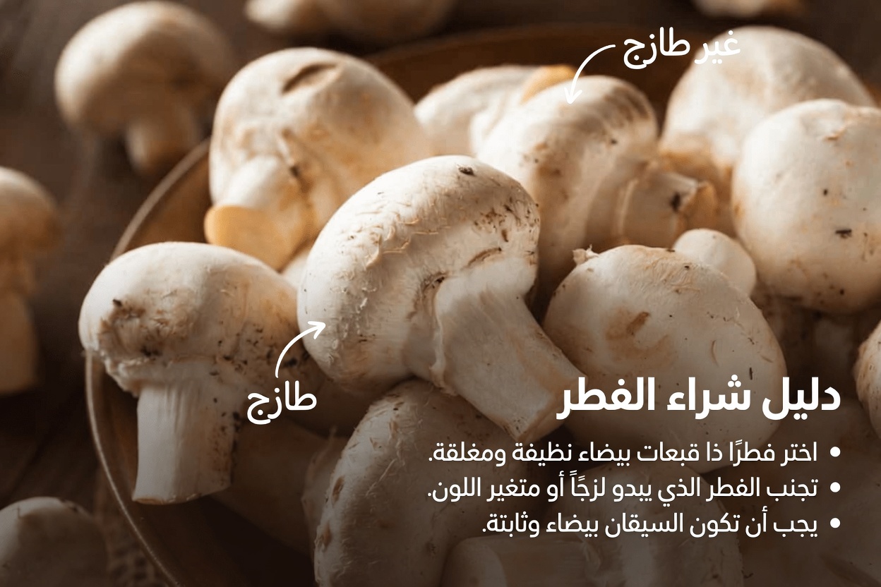 أفضل الأعشاب لعلاج تضخم البروستاتا الحميد (BPH) – حلفاء الطبيعة الخفيون الذين ربما تتجاهلهم