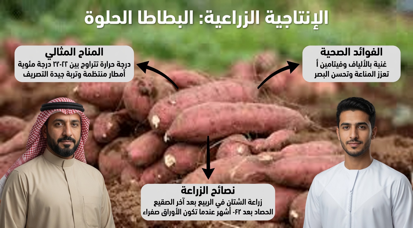 5 أطعمة يومية آمنة للكلى قد تدعم مستويات الكرياتينين الصحية ومعدل الترشيح الكبيبي (GFR) في روتينك اليومي