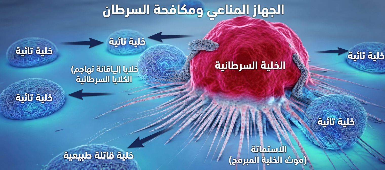 14 علامة تحذيرية للسرطان تتجاهلها كثير من النساء وما ينبغي لكل امرأة الانتباه إليه