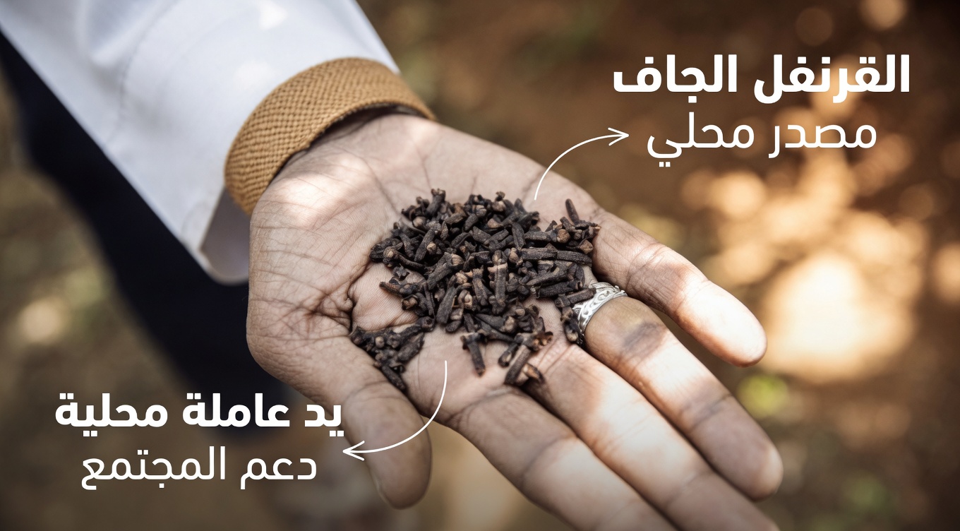 الطقس اليومي: 20 فائدة مفاجئة لمضغ القرنفل لصحة شاملة للجسم