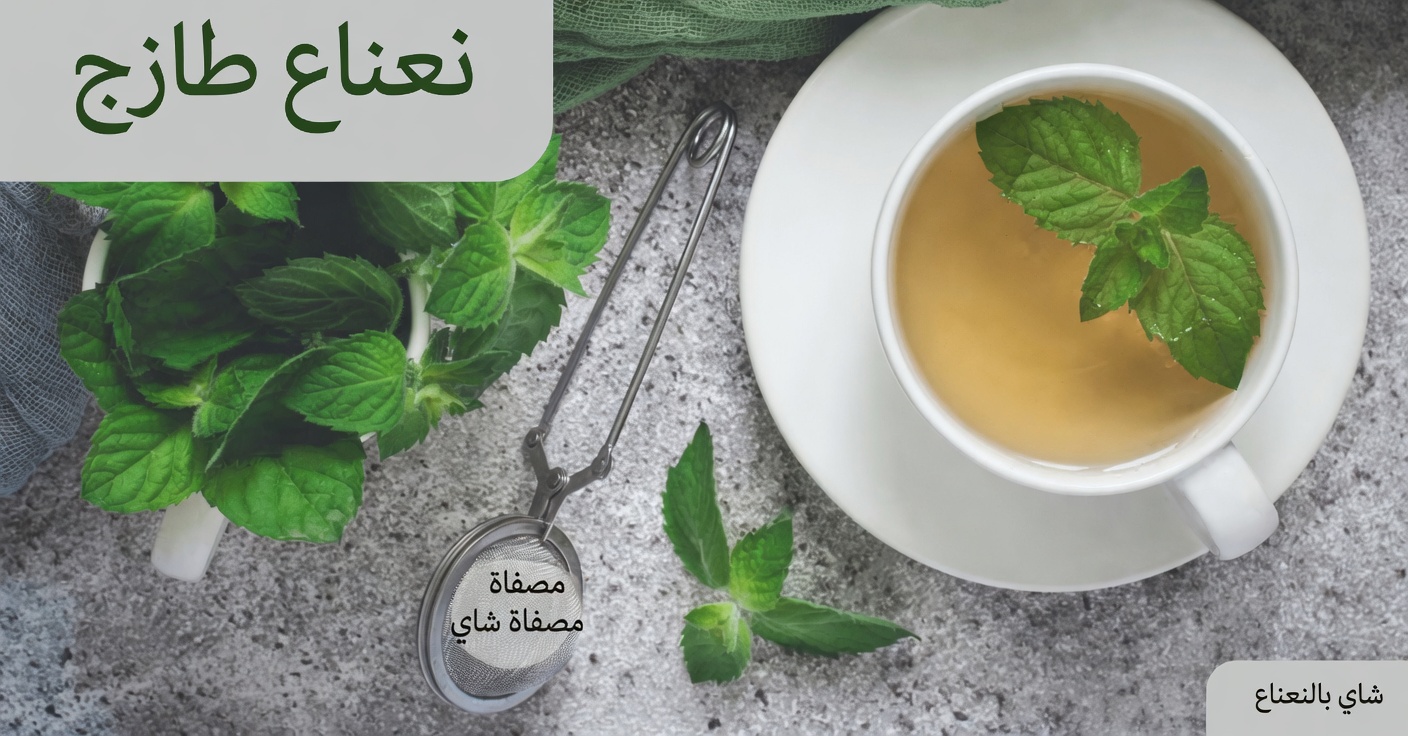 اكتشف 6 أعشاب قوية يمكن أن تساعدك على دعم صحتك وعافيتك اليومية بشكل طبيعي