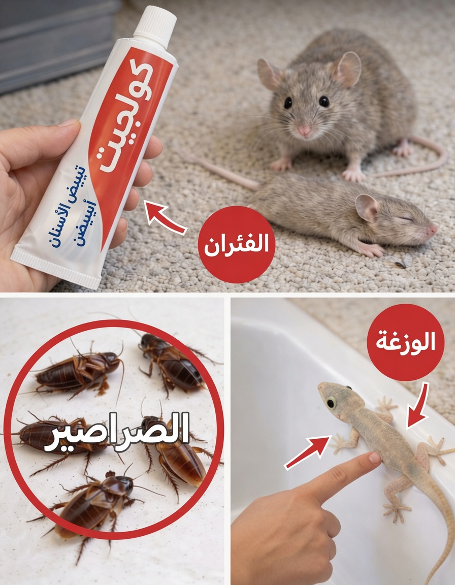 سرّ صادم يُكشف: معجون الأسنان قد يكون سلاحك النهائي ضد الفئران والصراصير والنمل!