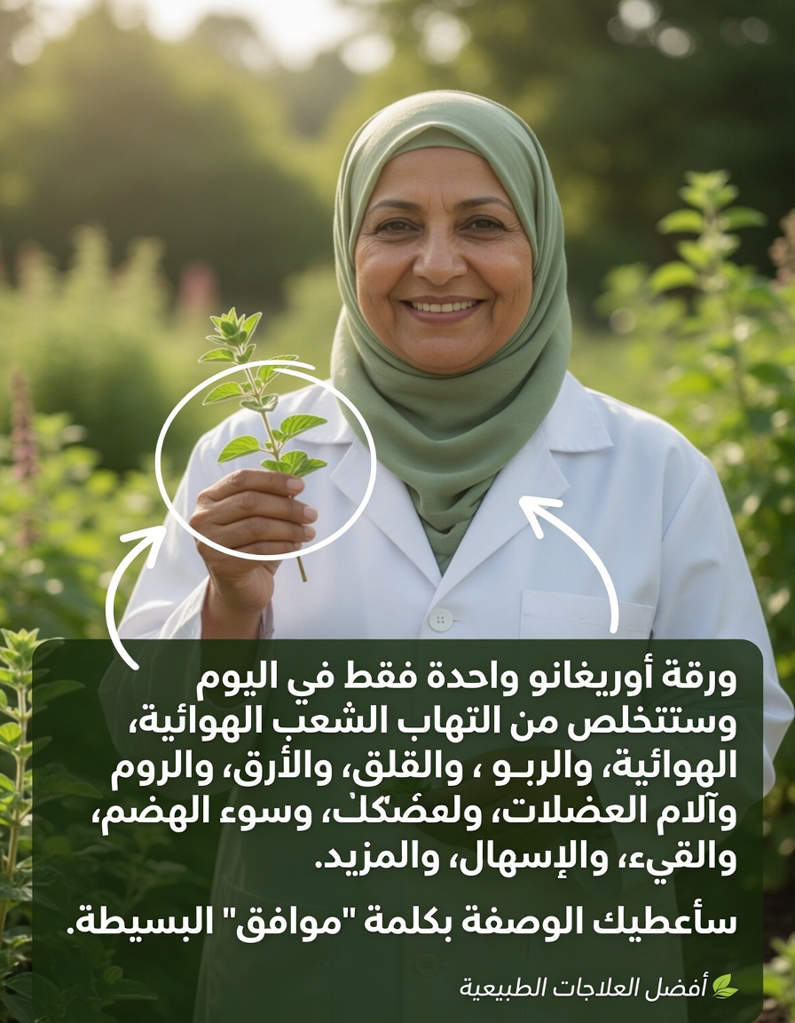 أوريغانو أوريخون: ورقة واحدة فقط يوميًا لدعم صحتك طبيعيًا