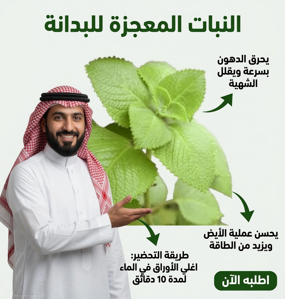 أوريغانو أوريخون: ورقة واحدة فقط يوميًا لدعم صحتك طبيعيًا