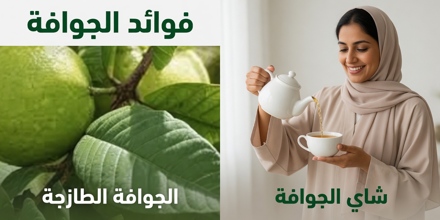 اكتشف المنقوع العشبي الطبيعي من الأوريغانو والنعناع البري وأوراق الغار وأوراق الجوافة لدعم العافية اليومية