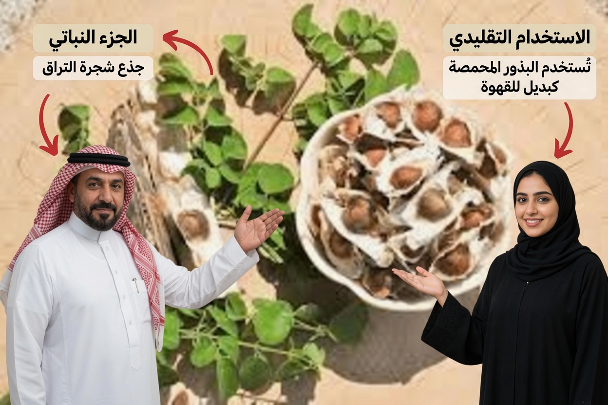 12 طريقة يمكن لبذور المورينغا من خلالها دعم صحتك وعافيتك اليومية